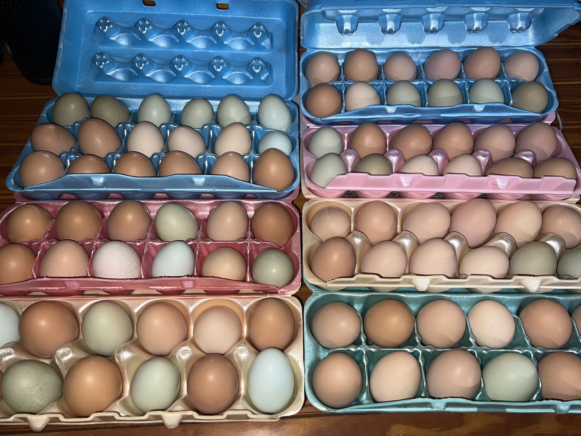 Fresh Eggs 🐓🪺