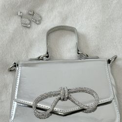 Super Cute Metallic Set Bag And Earrings 
