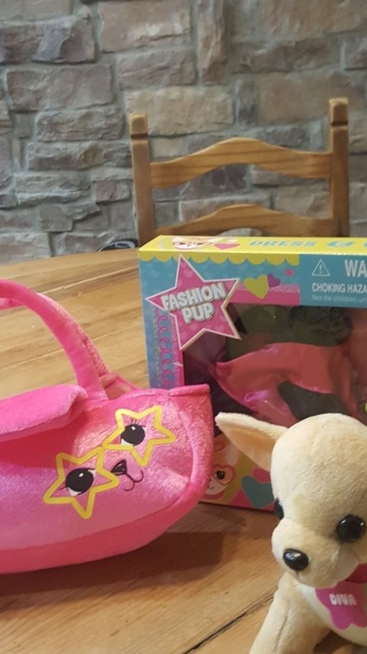 Kids Fasion Pup Dress Up With Carrier
