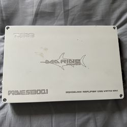 DS18 WAVES1300.1 Full Range 1 Channel Monoblock 1300 Watts MAX Water Resistant Marine Amplifier