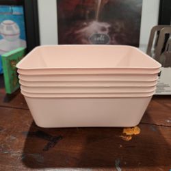 Small Gold Rose Plastic Containers