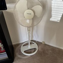 Oscillating Fan