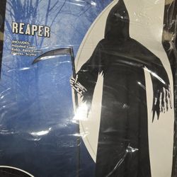 Halloween Costume Reaper
