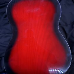 Rogue Fine Instruments Acoustic Guitar 