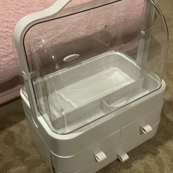 Makeup/Skincare Organizer