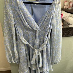 Large Blue Flower Dress 