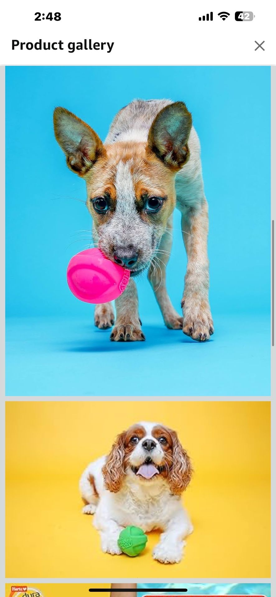 Hartz DuraPlay Ball Squeaky Latex Dog Toy, Medium 3 Pack