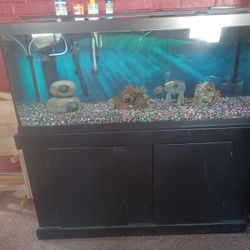 Aquarium