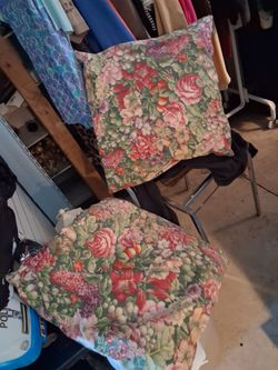 2 lagre pillows all 1 dollars