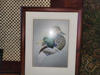 Mallard Duck Print