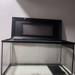 Aquarium “Fish tank “