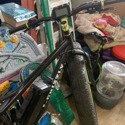 Fat Tire E-bike 