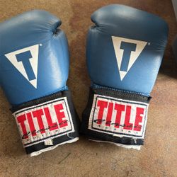 12 TITLE CLASSIC BOXING GLOVES