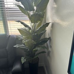 Fake Realistic Plant 