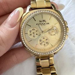 Coach Ladies Watch