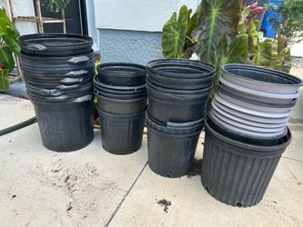 Nursery plant pots