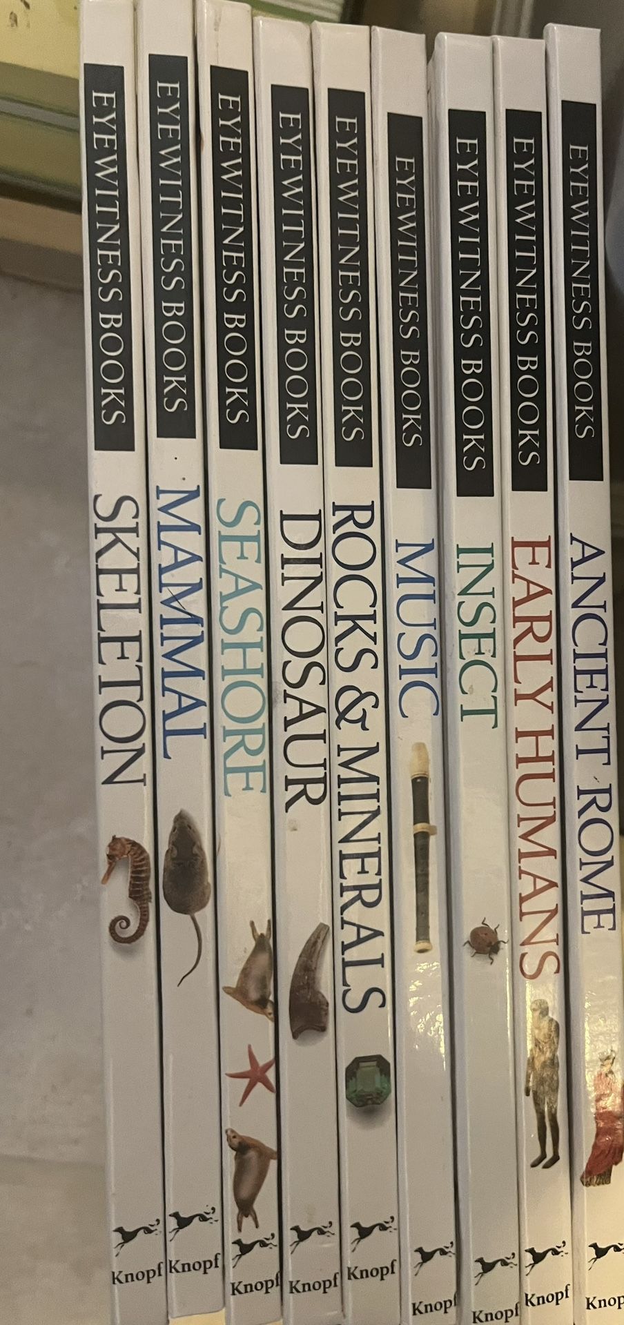 Set of nine eyewitness hardcover books.