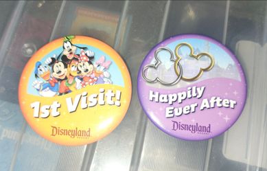 2 Disneyland Pins