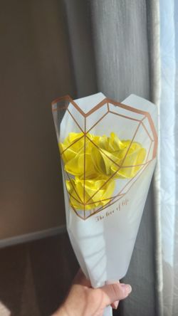 Eternal Roses