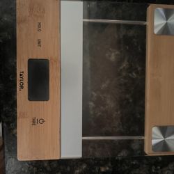 Taylor Digital Electric Kitchen Scale