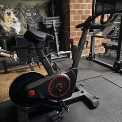 Exercise Bike