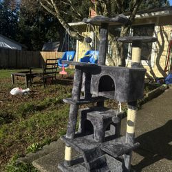 Cat Tree