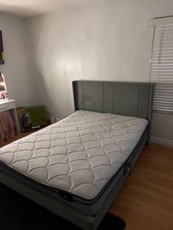 Queen size bed frame/mattress
