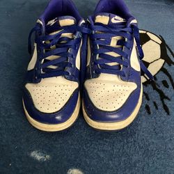 Blue Nike Dunks