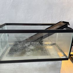 Reptile / Fish Tank 40 Gal