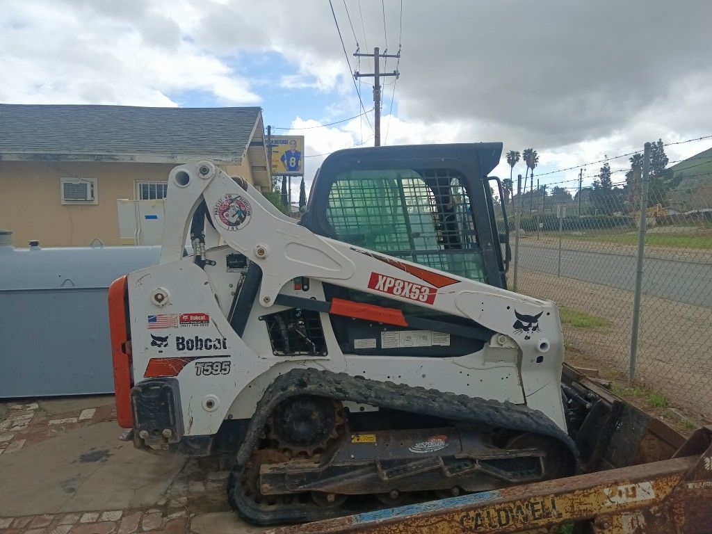 Bobcat