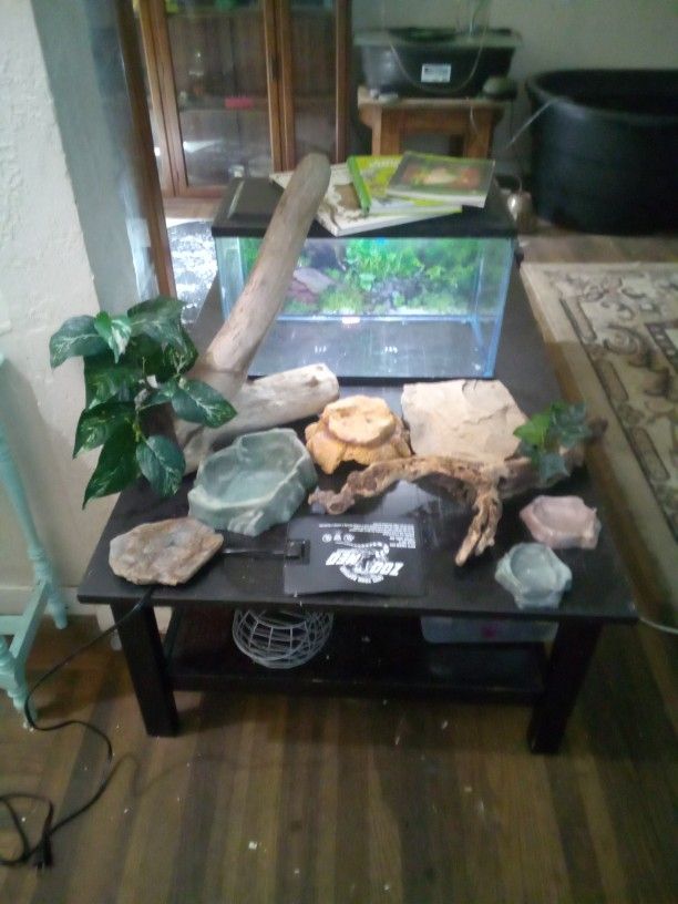 Reptile Package Deal