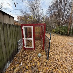 Chicken Coop