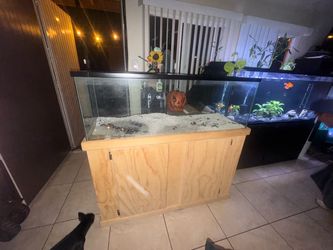 60 gallon tank and stand