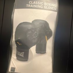 Everlast Boxing Gloves