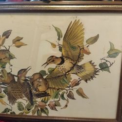 Elizabeth Paxton Art