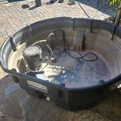 Above Ground Fish/koi Pond