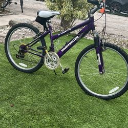 Roadmaster MT sport sx 24 