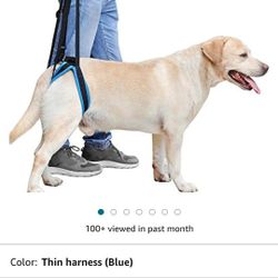 Dog Support Harness