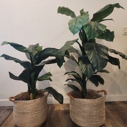 Artificial Plants