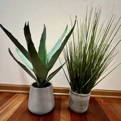 Artificial Aloe Vera and Grass Plants in Cement Pots