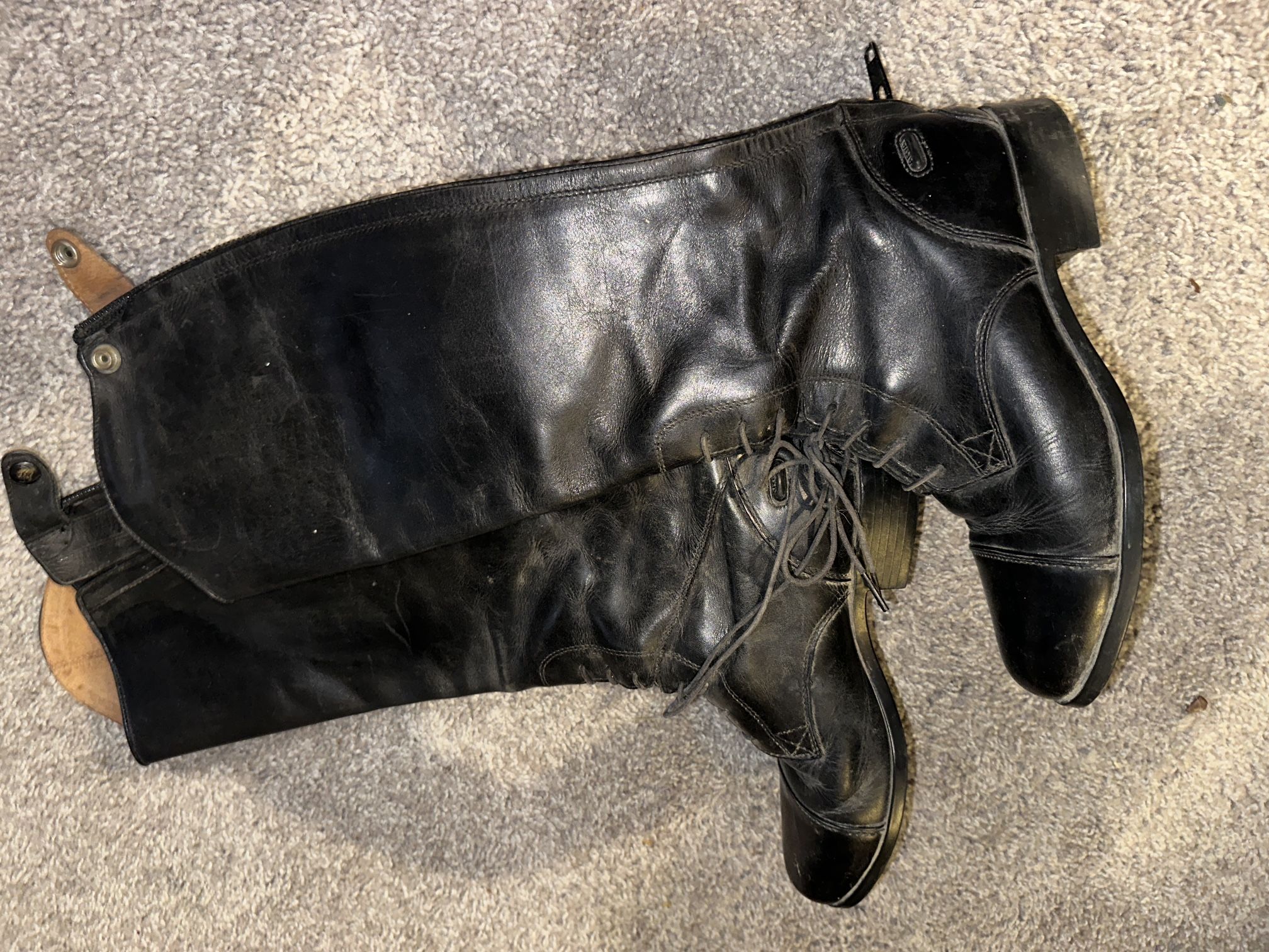 Size 7 Ariat English Riding Boots