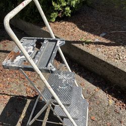 Cosco Painters steps