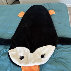 Sleeping blanket