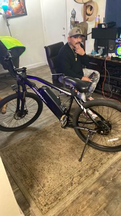 Hoverfly Ourea E-Bike