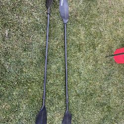 Kayak Paddle