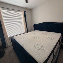 🛏️ King Size Blue Velvet Wingback Bed – Elegant Statement Piece
Coleman Upholstered Wingback Bed