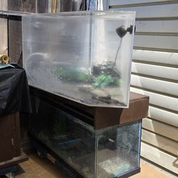 Corner Fish Tank Acrylic  80 Gal With Stand