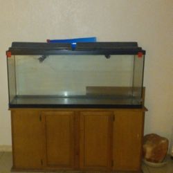 Fish Tank & Stand