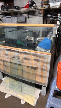 60 gallon fish aquarium with filter net with everything for set up