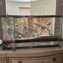Reptile Enclosure